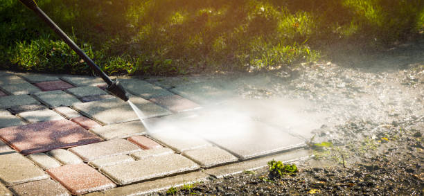Animal Enclosure Cleaning in San Gabriel, CA